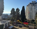 VeryHotel: отзыв от Юлия Я
