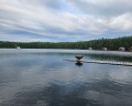 Оланга на воде: отзыв от Анастасия Габдуллина