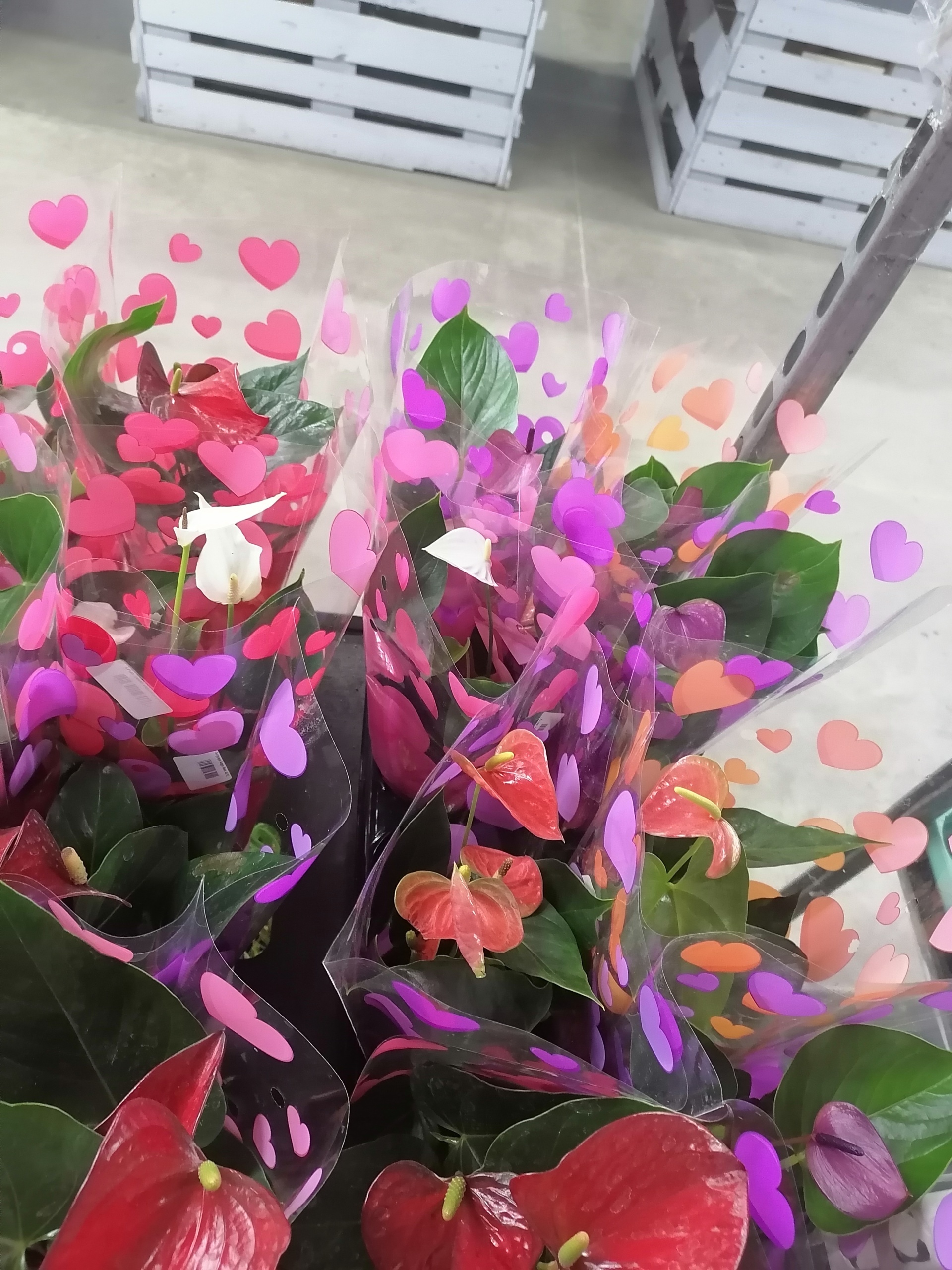 Флоравиль бирюлево многоуровневая подставка для цветов купить