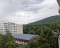 Лесная поляна: отзыв от Мария Орлова