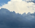Застава: отзыв от Елена Следевская