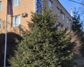 Славянская: отзыв от Albuna Ku