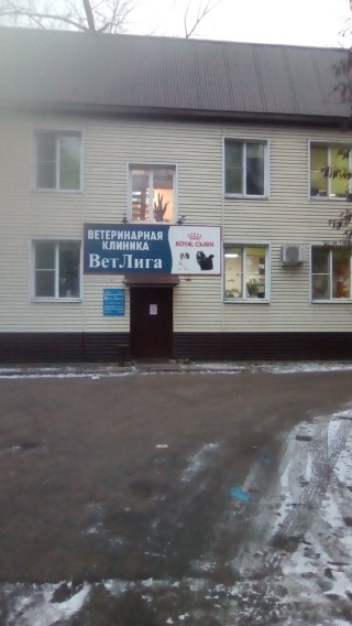 Ветлига воронеж фото