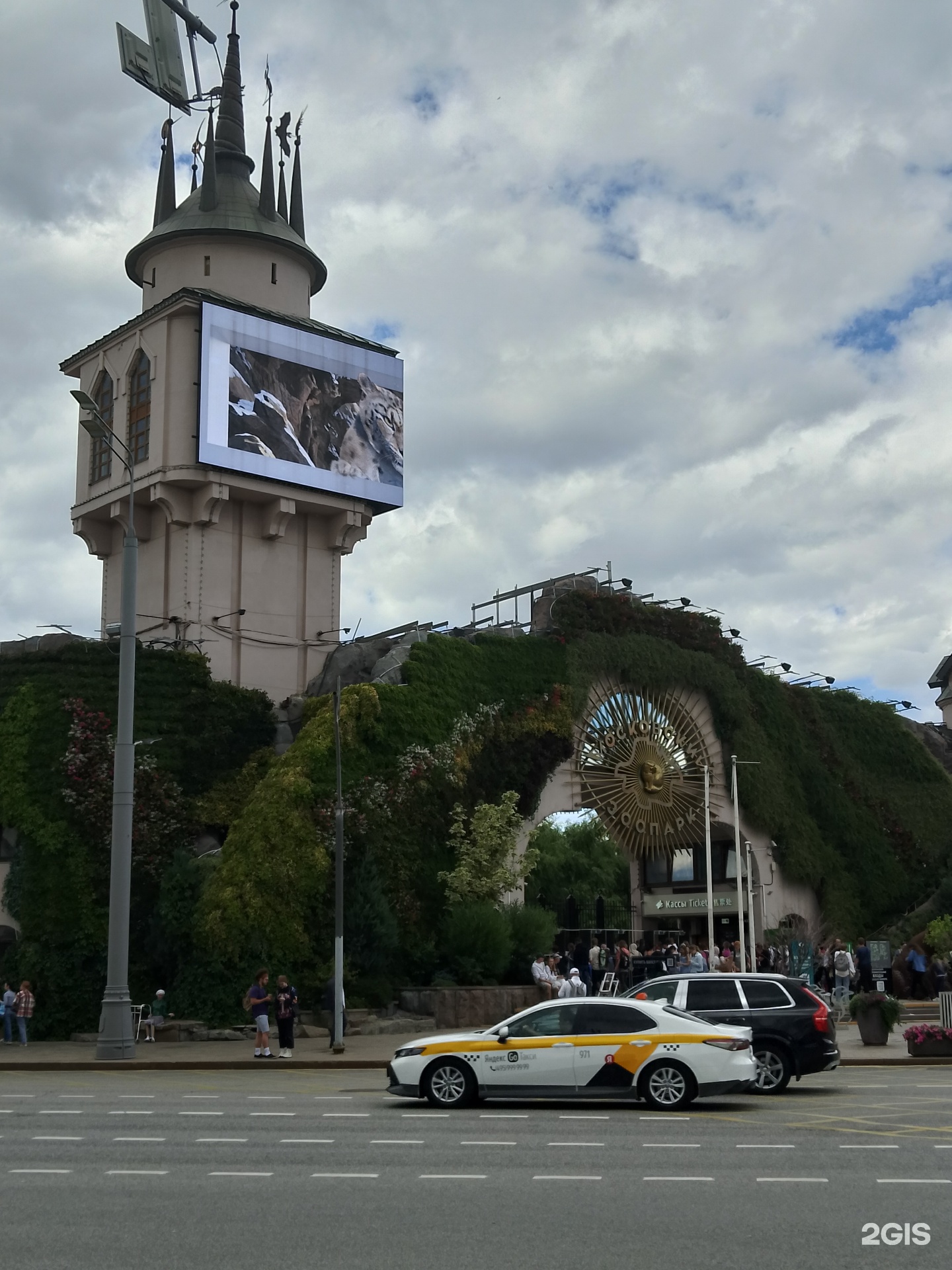 телефон ул большая грузинская (94) фото