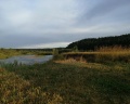 ХУТОРОК: отзыв от Наталья Орлянская