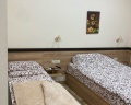 Подсолнух: отзыв от Анна Иконникова