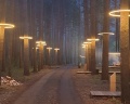 Pinewood resort&SPA: отзыв от Алексей К