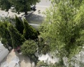 Белый дом балерины: отзыв от Оксана Карлина