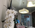 Vertebra: отзыв от Анрун Амарян