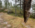 Хюгге Кэмп Карелия: отзыв от Егор Абрамов