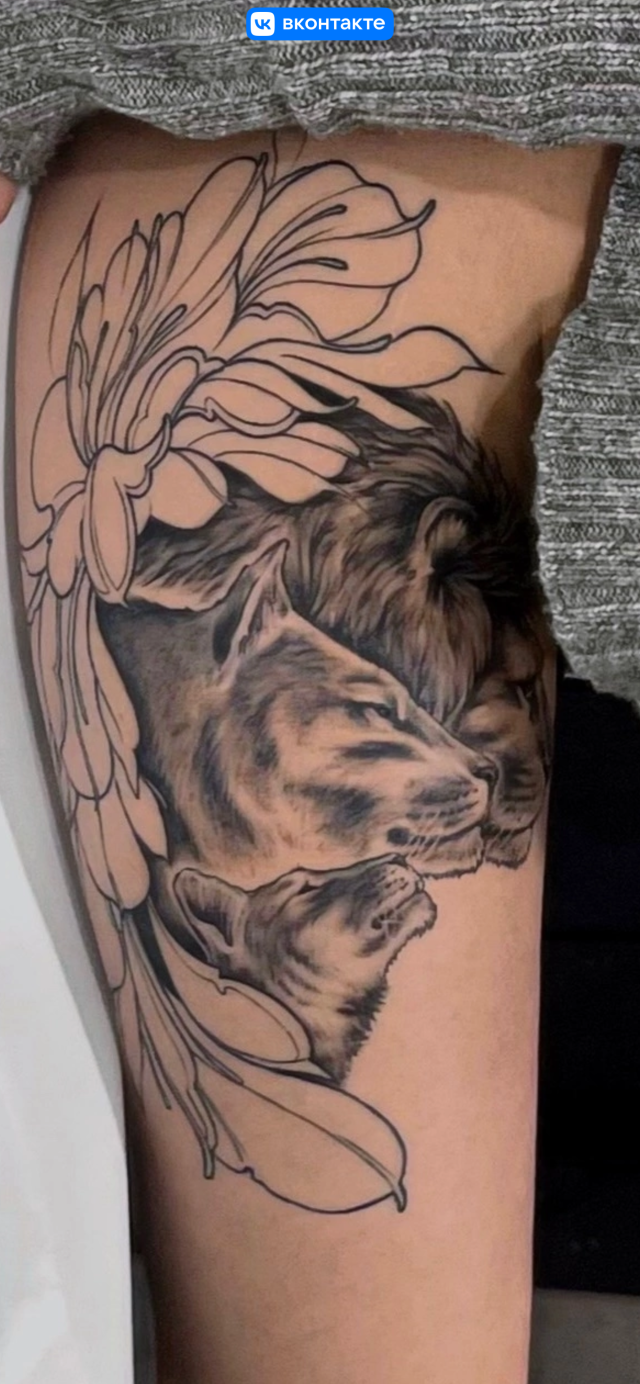 Hiena Tattoo 11, тату-салон, Первомайская улица, 25, Сыктывкар — 2ГИС