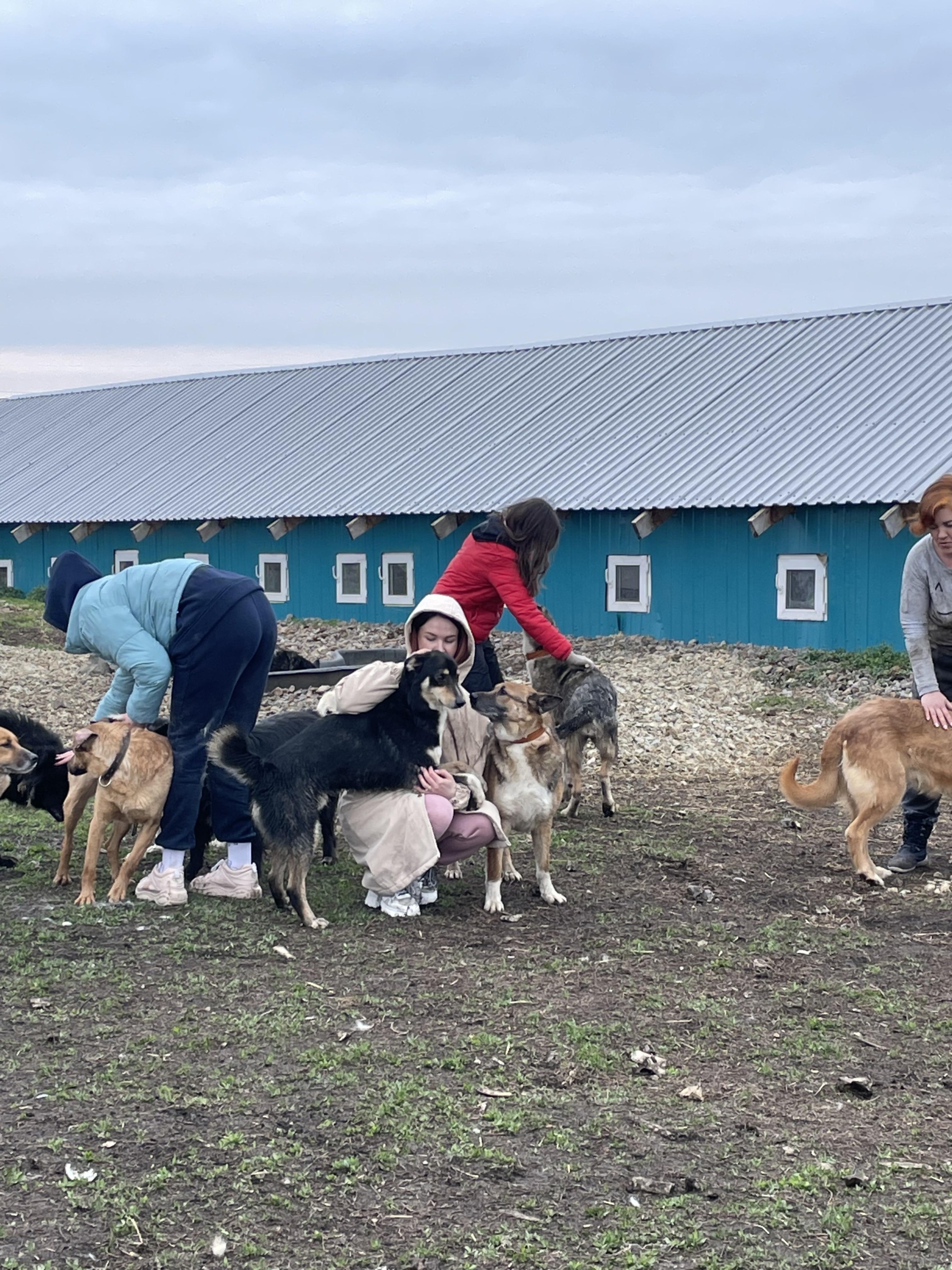 Наш дом, приют для животных, с. Большие Харлуши, с. Большие Харлуши — 2ГИС