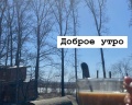 Займище: отзыв от Оксана Трифонова