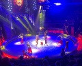 Цирк: отзыв от Честный ОТЗЫВ ⤵️