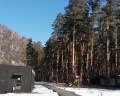 Loft №12: отзыв от Елена К