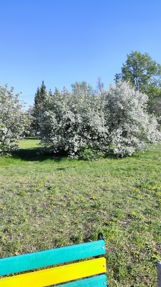 Парк чкалова екатеринбург фото