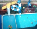 Corudo Family Resort&Spa: отзыв от Павел Максимов