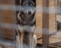 Медовые холмы: отзыв от Маша Шанжан