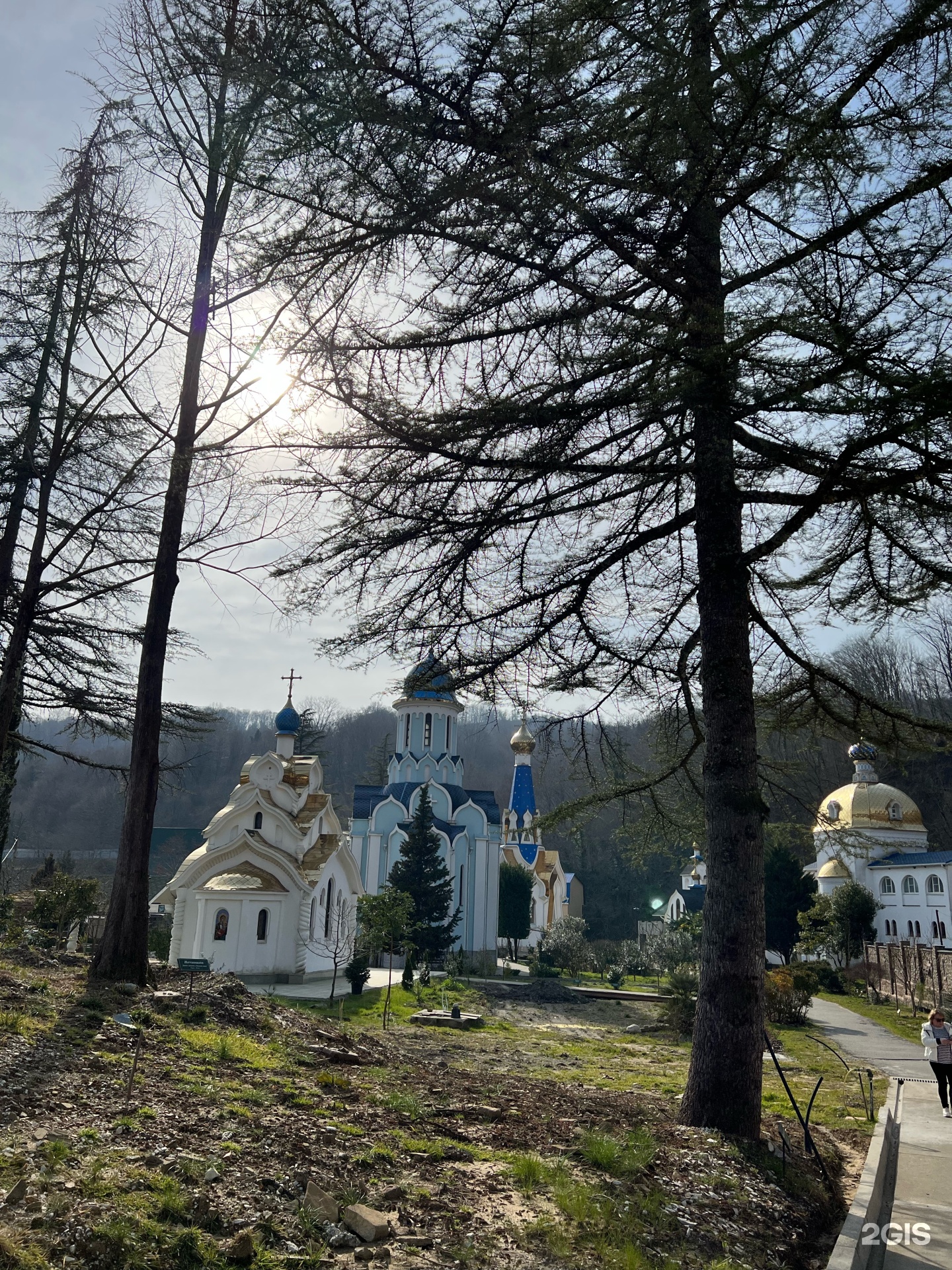 Лесное: карта с улицами, домами и организациями города — 2ГИС