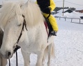 Nordwind: отзыв от Карина Темирова