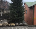 Липовская: отзыв от Оксана Попиль