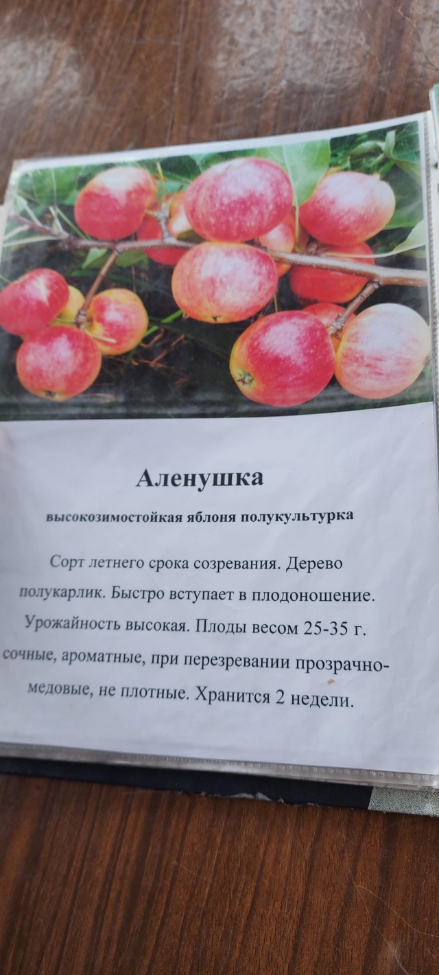 Плодово-ягодный питомник, Приморское лесничество (36-й квартал), 1, Иркутск  — 2ГИС