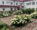 Онега: отзыв от Таня Вл