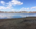 Медведь: отзыв от Анна Демитрова