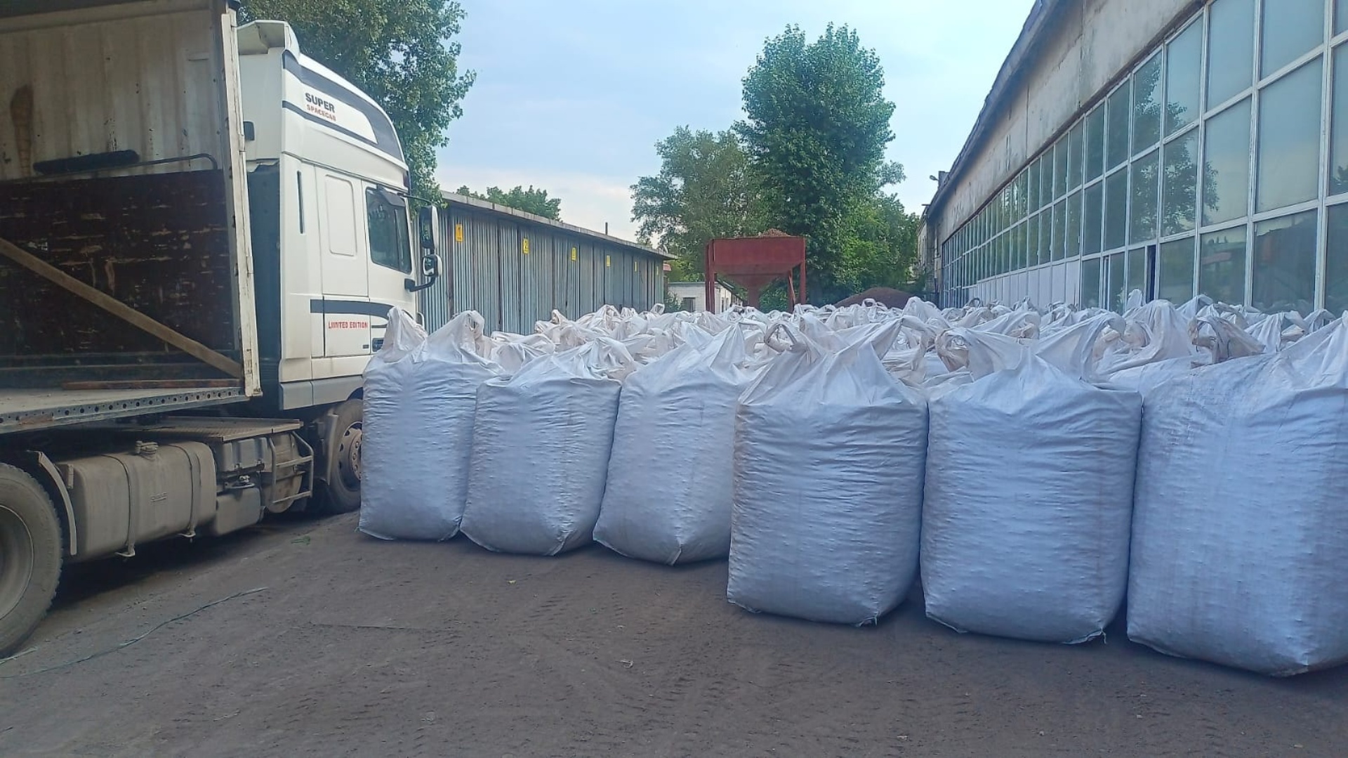 Таңқурай қыздармен жыныстық қатынас