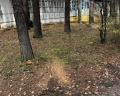 Тургояк: отзыв от Мария Савинова
