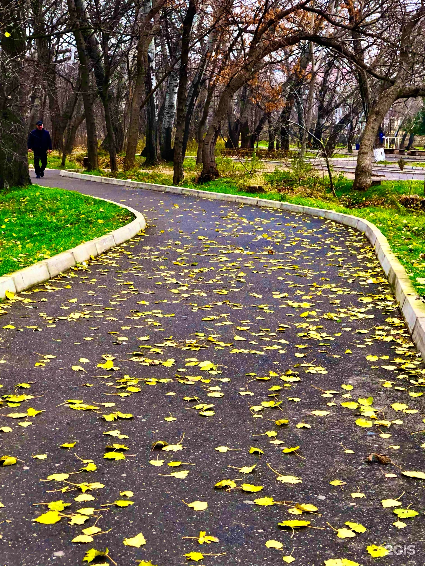 Парк им. Ленинского Комсомола, Парк Ленинского Комсомола, Махачкала,  Махачкала — 2ГИС