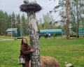 Увельские курорты: отзыв от Виктория Хромых