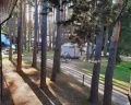 Жемчужина: отзыв от Марина Стеблянкина