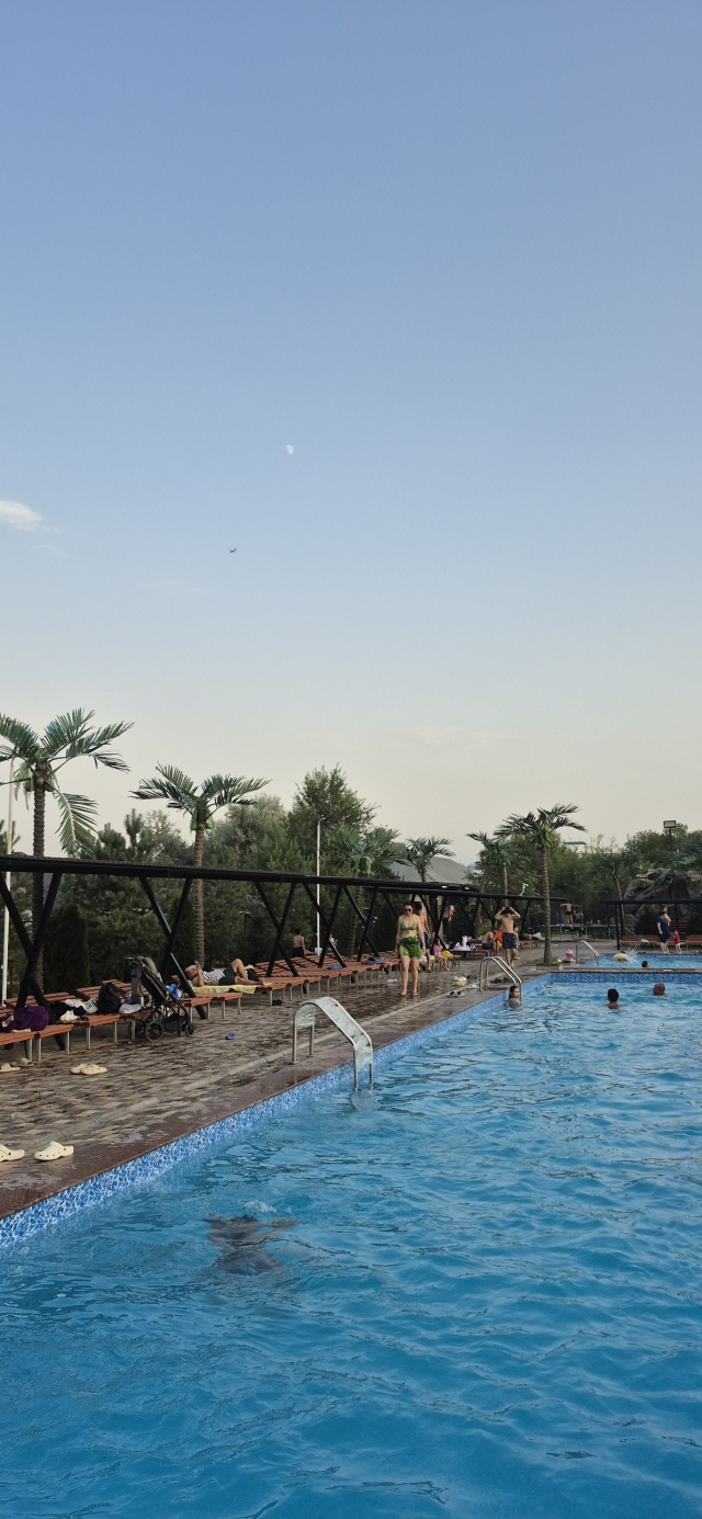 Транссексуалды сперматозоидтардың порно видеосы