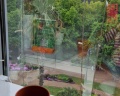 Sunny Sochi Hostel: отзыв от Евгения Капустникова