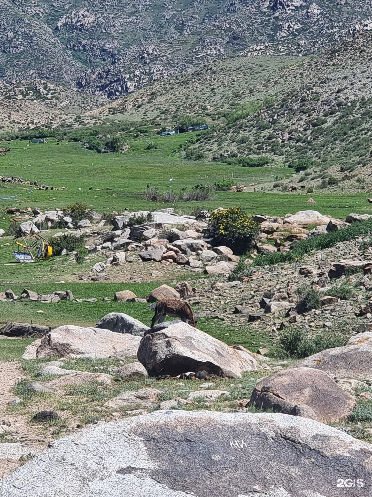 Қайын енесі күйеу баласымен анальный секс