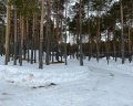 Nordwind: отзыв от Денис Гилев
