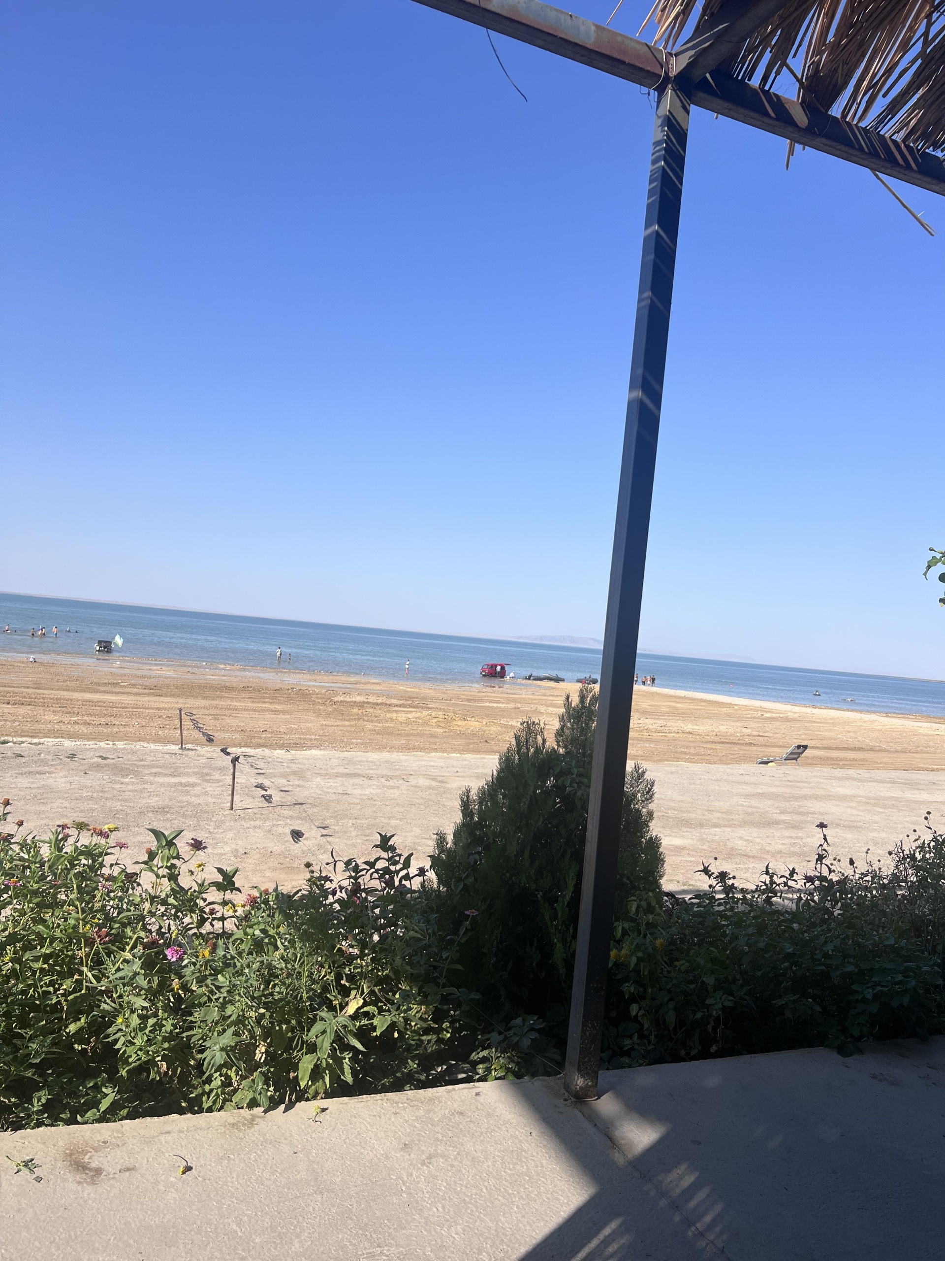 Porno tomosha qiling, pulni istemol qiling