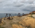 Берег роз: отзыв от Полина Лыкова