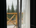 Еловый лис: отзыв от Таина Прейра
