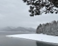 Берендей: отзыв от Катя Белая