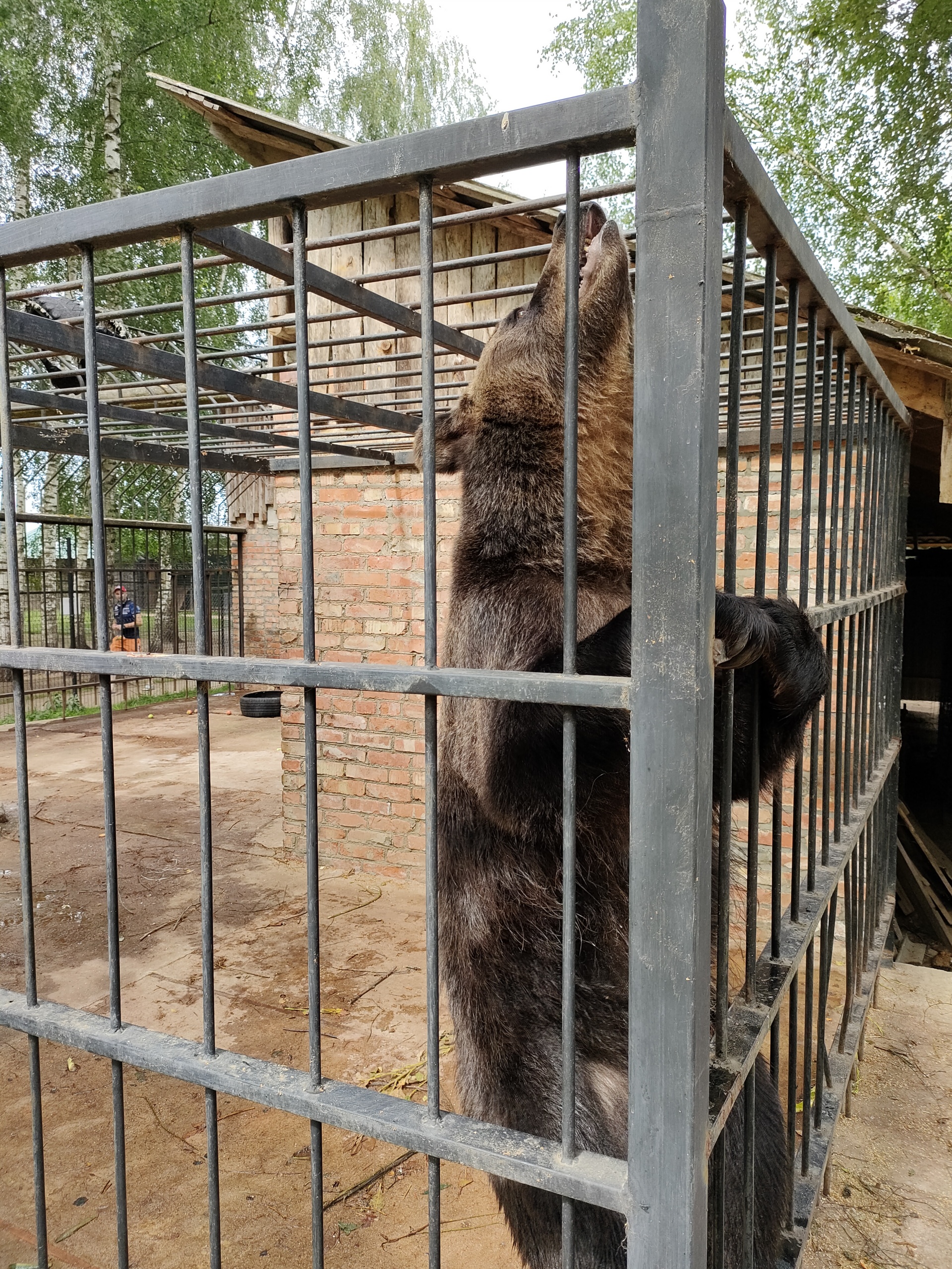 ЗооГрад, экопарк, Западная улица, 34, рп. Пушкинские Горы — 2ГИС