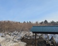 Морской бриз: отзыв от Наталья Слепец