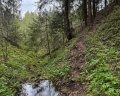 Каменецкие Купели: отзыв от Иван Шигачев