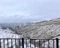 Сахават: отзыв от Дмитрий _