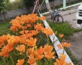 Красногорье: отзыв от Nailia N