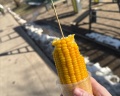 Парк «Пехорка»: отзыв от Мария