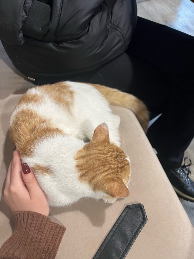 Светлана Брюханова порно