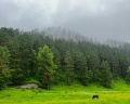 Айбарка: отзыв от Любовь Зайцева