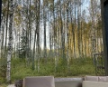 Berloga Country Resort: отзыв от Roza Polini
